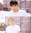 /album/a1d-kepek-/images-zn2-jpg/